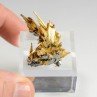 Rutile and hematite - Novo Horizonte, Bahia, Brazil