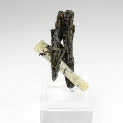 Arfvedsonite et Apatite - District minier de Mibladen, Maroc
