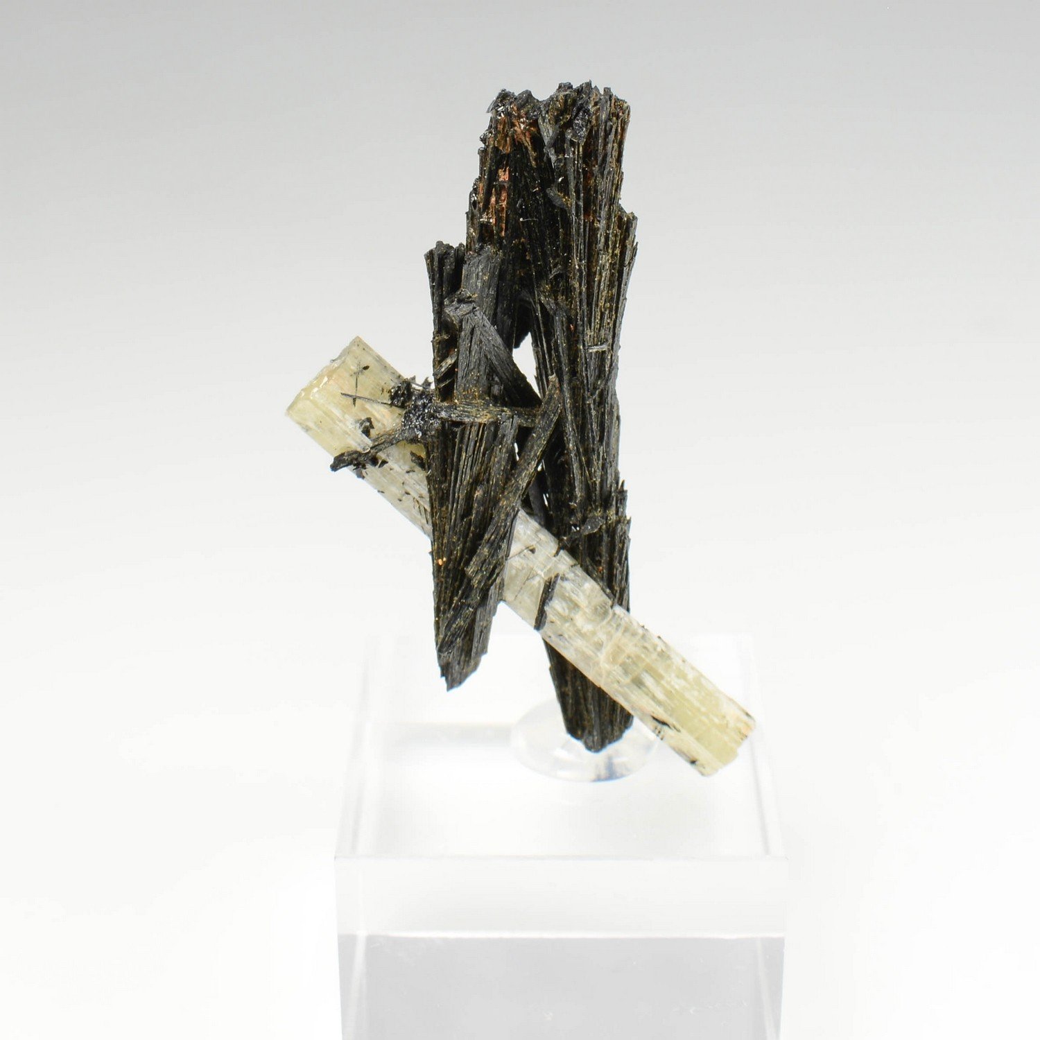 Arfvedsonite et Apatite - District minier de Mibladen, Maroc