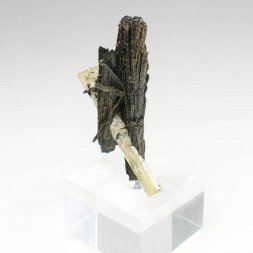 Arfvedsonite and Apatite - Mibladen Mining District, Morocco