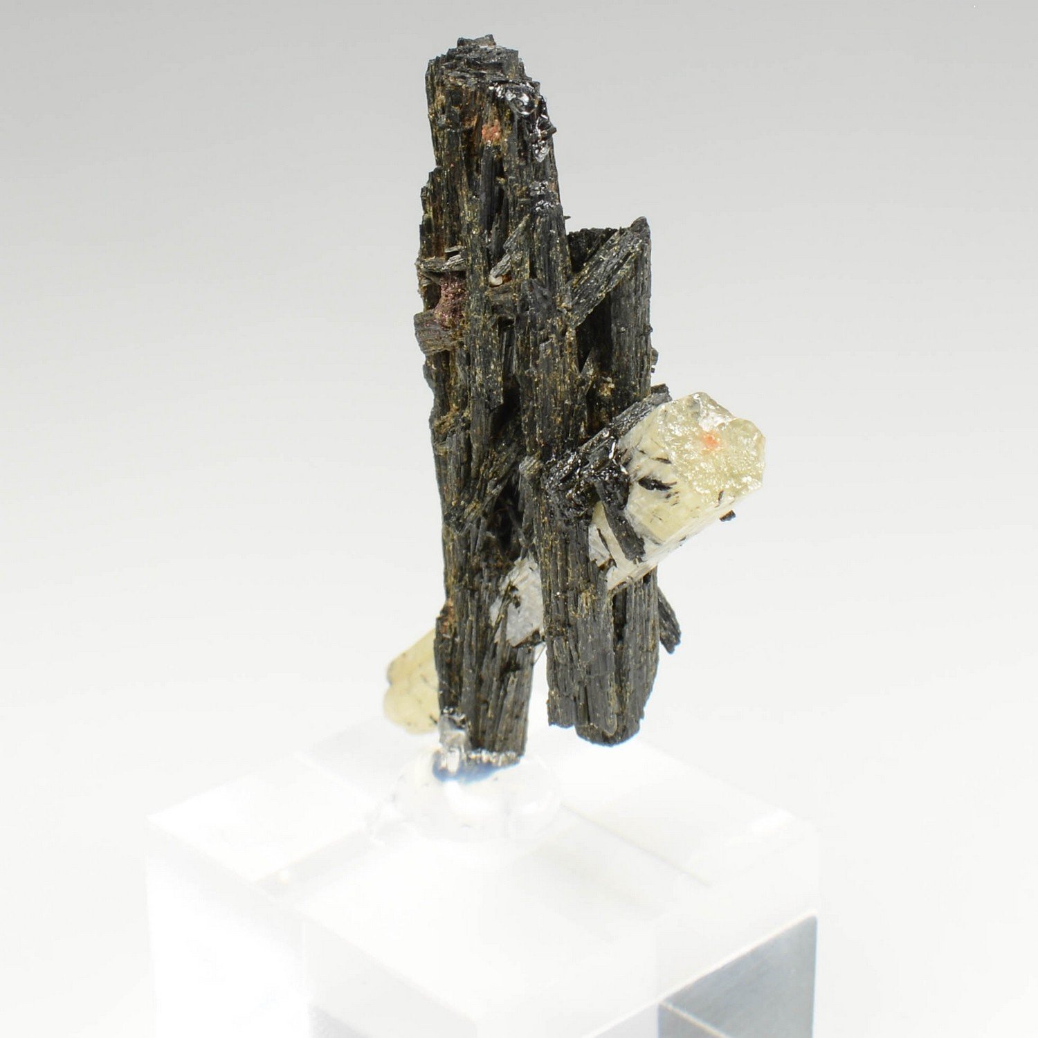 Arfvedsonite et Apatite - District minier de Mibladen, Maroc