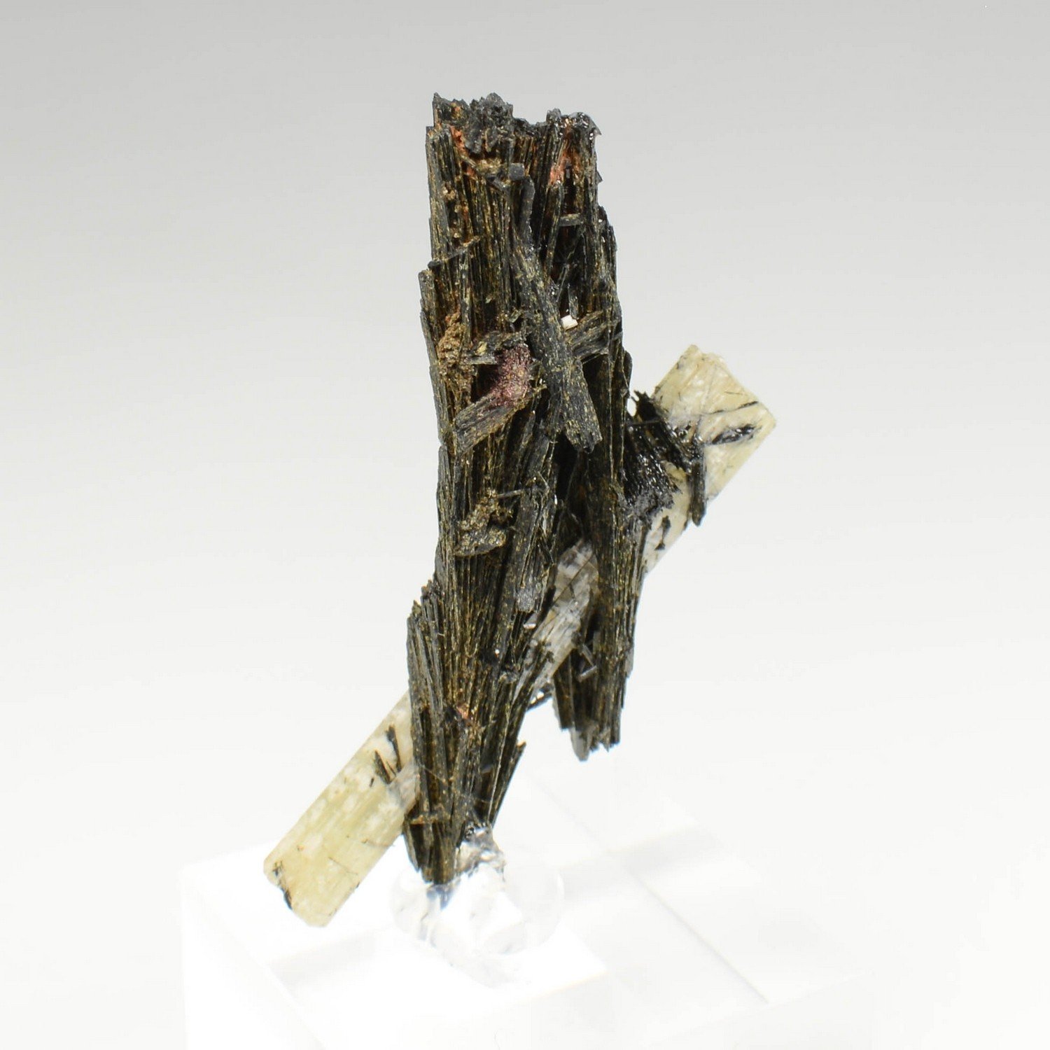 Arfvedsonite et Apatite - District minier de Mibladen, Maroc