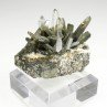 Quartz chloriteux - Ganesh Himal, Népal