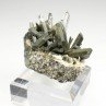 Quartz chloriteux - Ganesh Himal, Népal