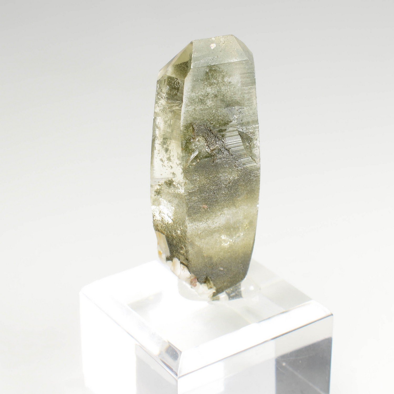 Quartz chloriteux - Ganesh Himal, Népal