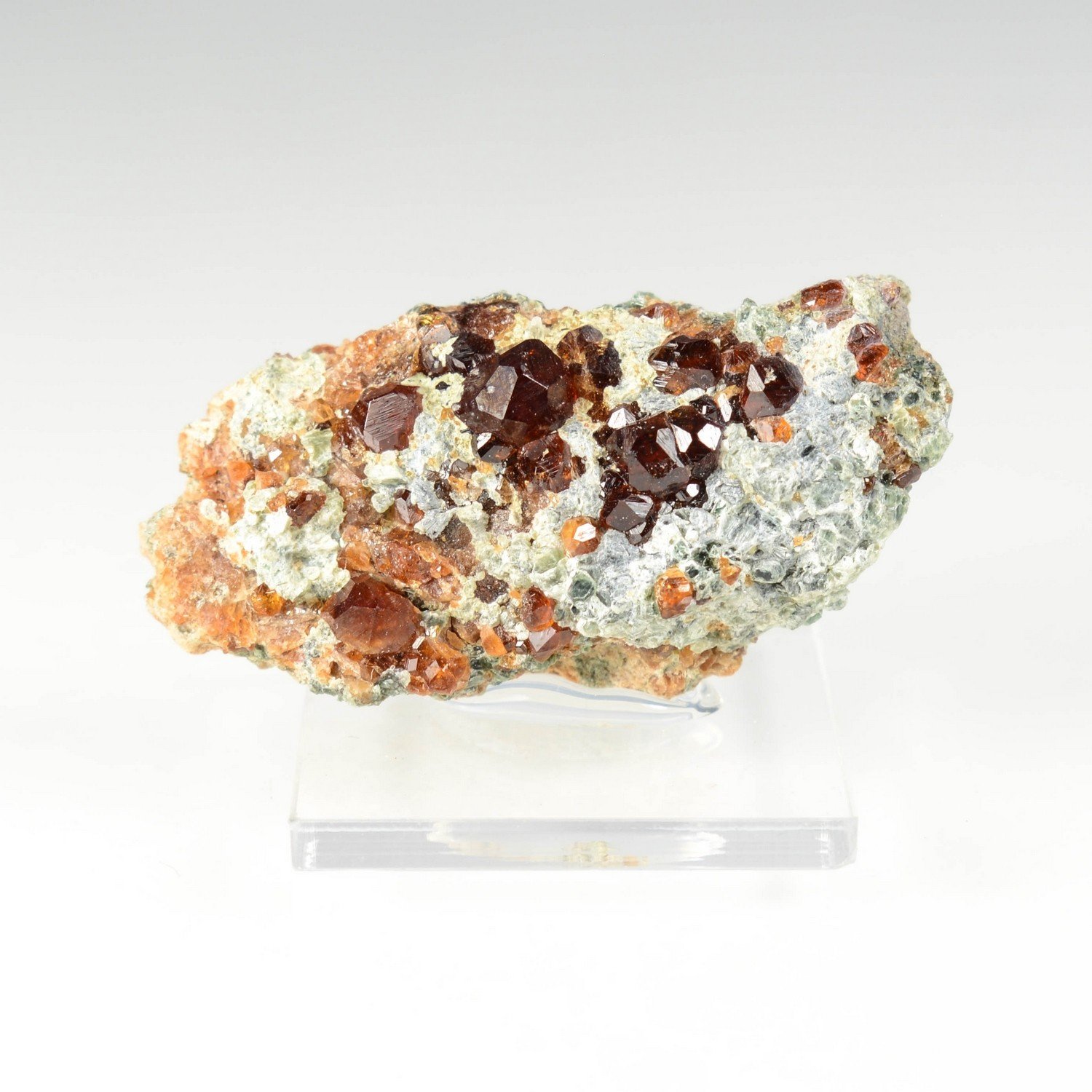 Garnet, clinochlore - Rodingites from Bellecombe, Aosta Valley, Italy