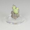 Wavellite et crandalite - Mauldin, Arkansas, Etats-Unis