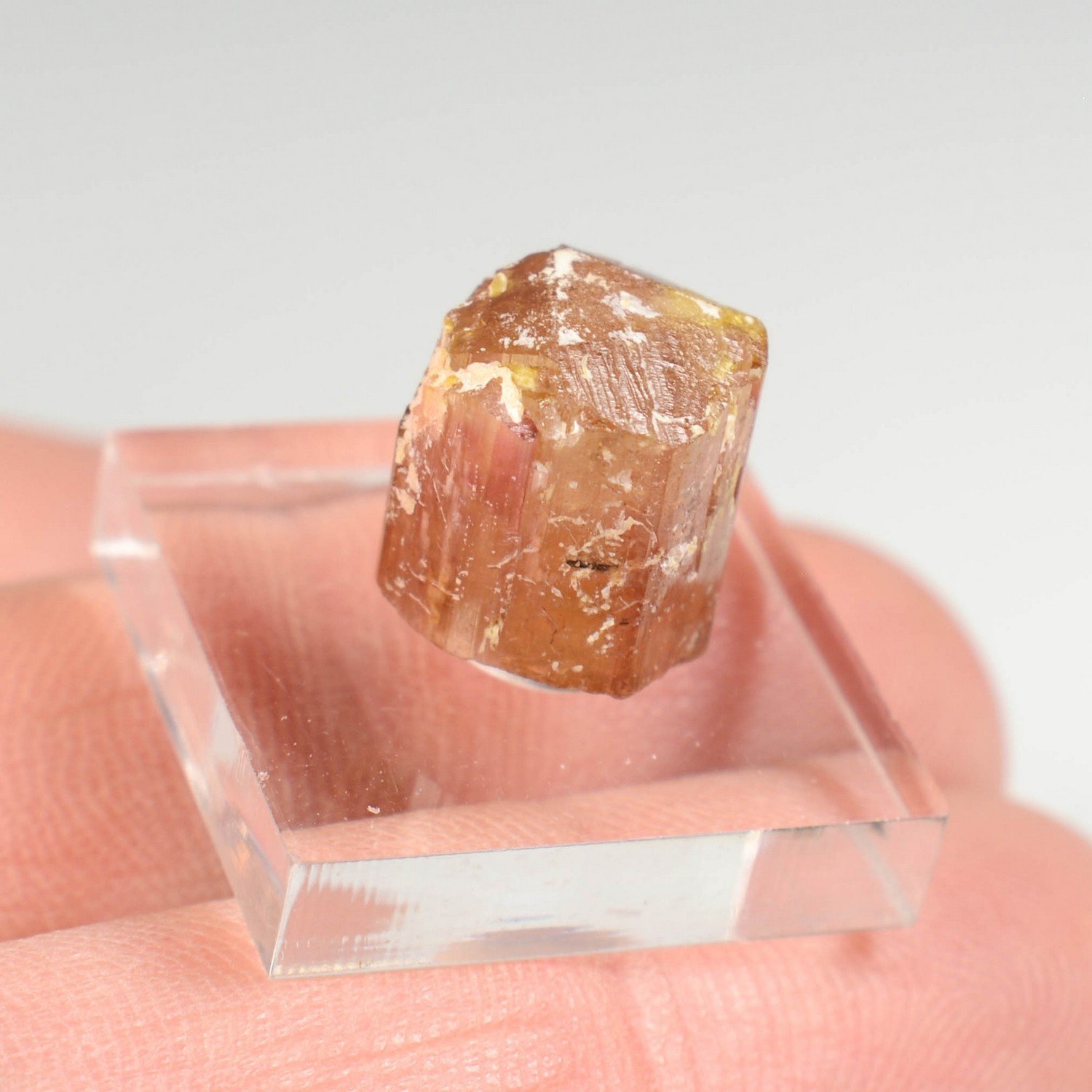 Tourmaline - Beni Bouzra, Chefchaouen, Maroc