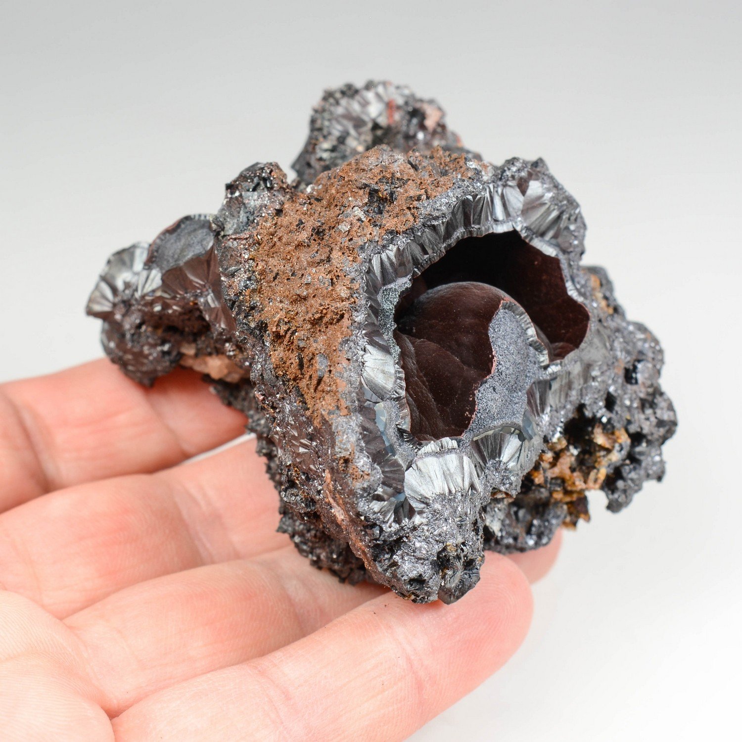 Goethite velours - Montroc, Tarn, France