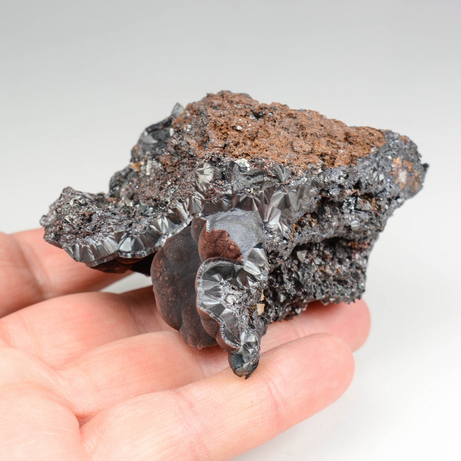 Goethite velours - Montroc, Tarn, France