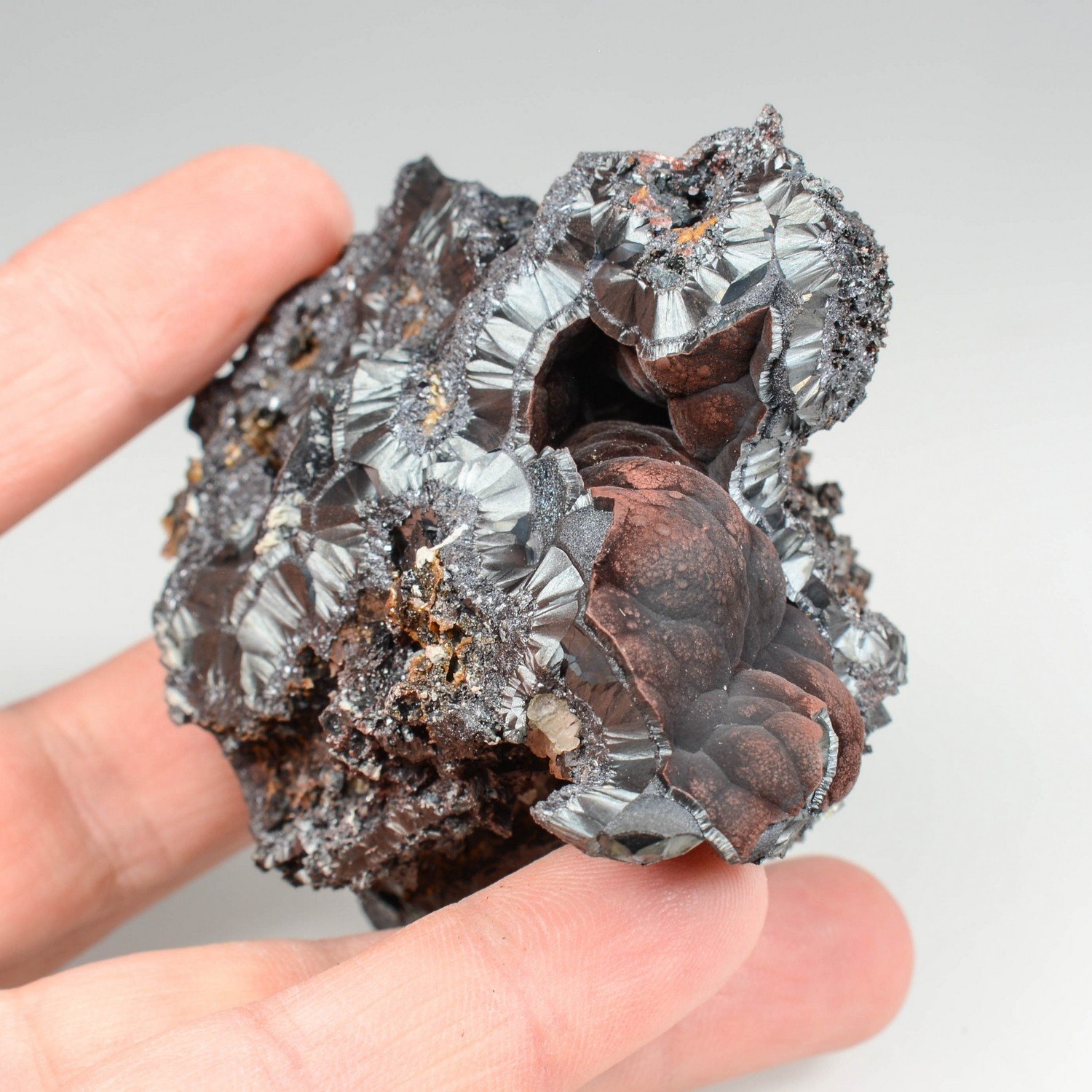 Goethite velours - Montroc, Tarn, France
