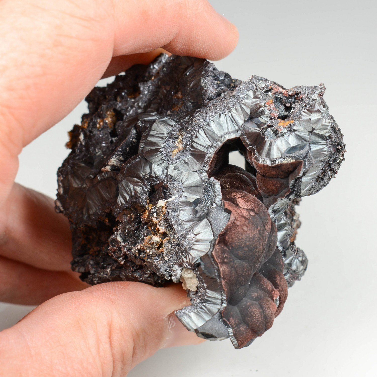 Goethite velours - Montroc, Tarn, France