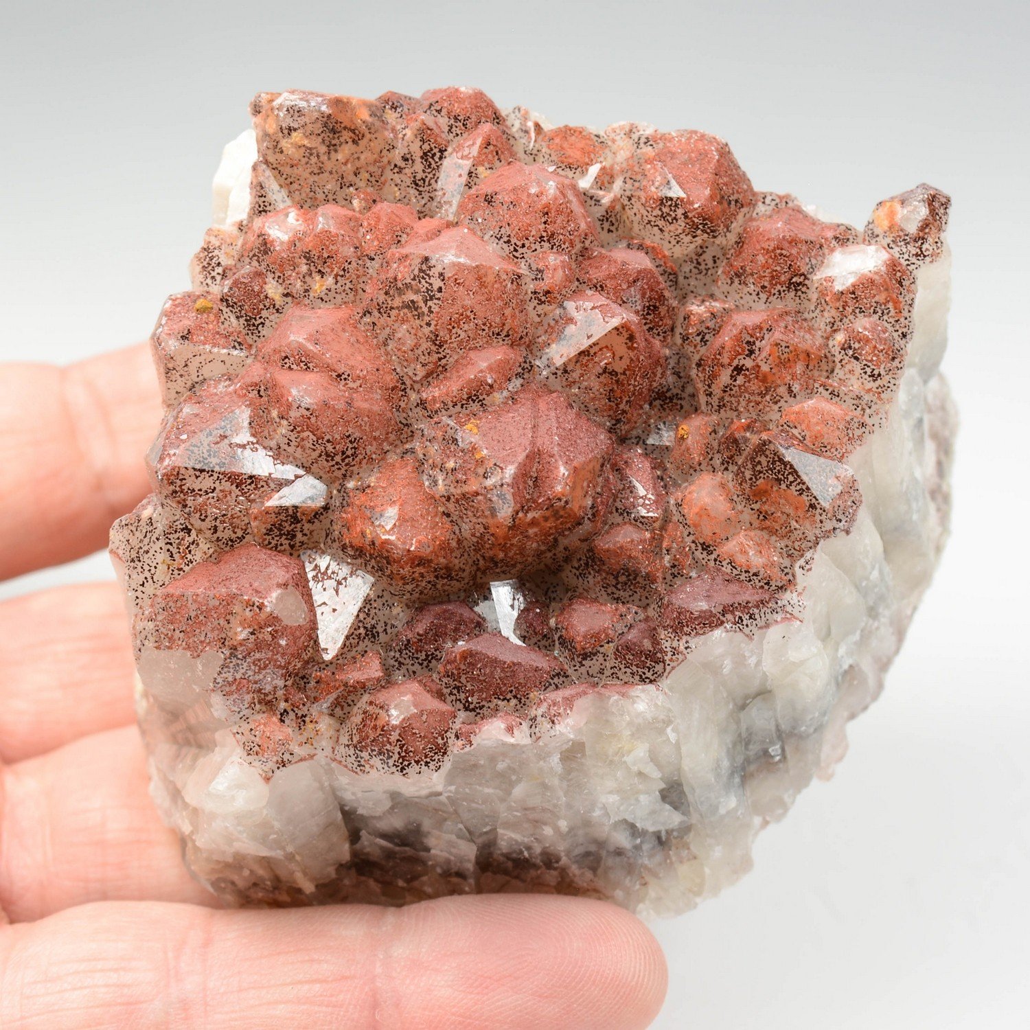 Quartz hématoïde - Guilers, Finistère, France