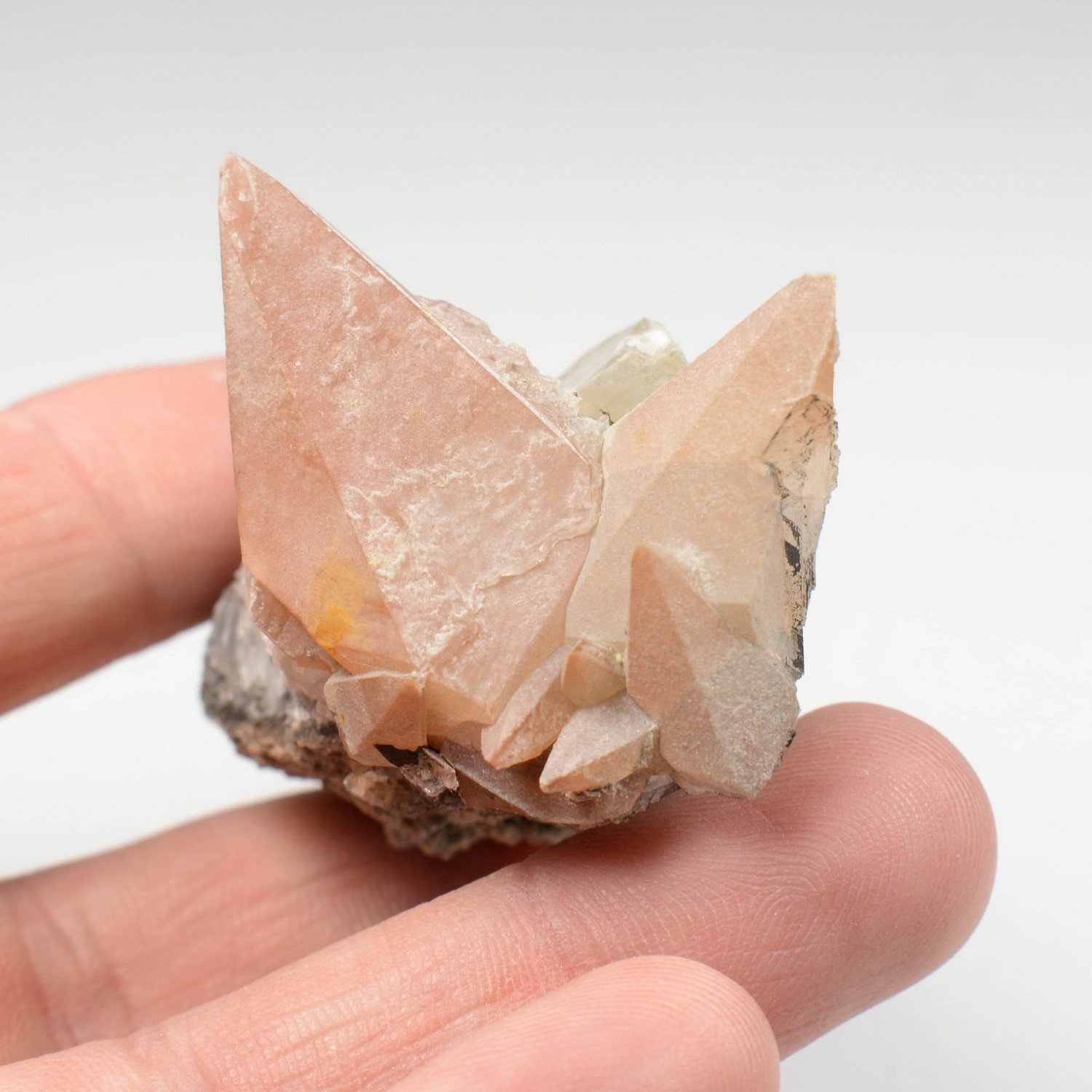 Calcite et pyrite - Liré, Maine-et-Loire, France