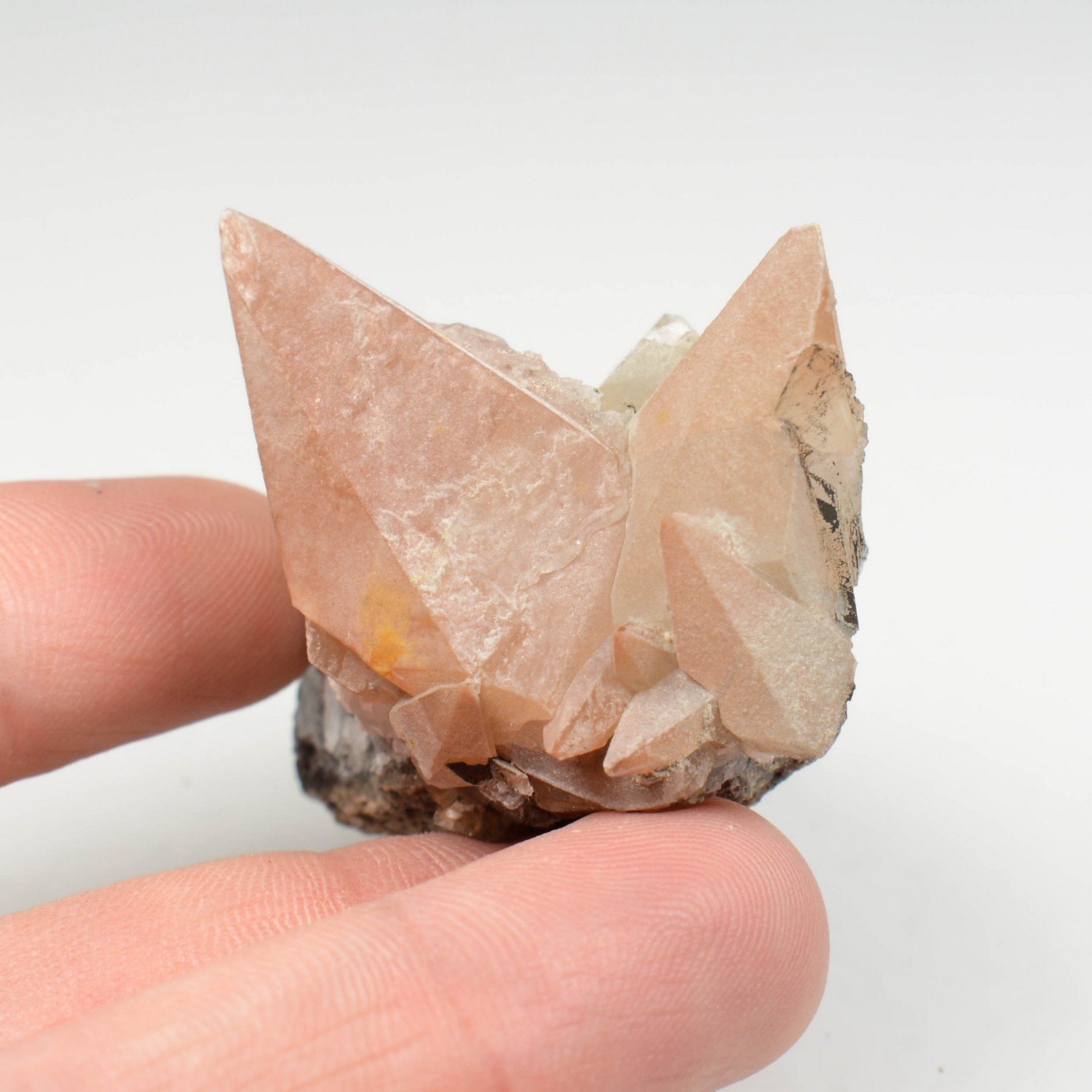 Calcite et pyrite - Liré, Maine-et-Loire, France