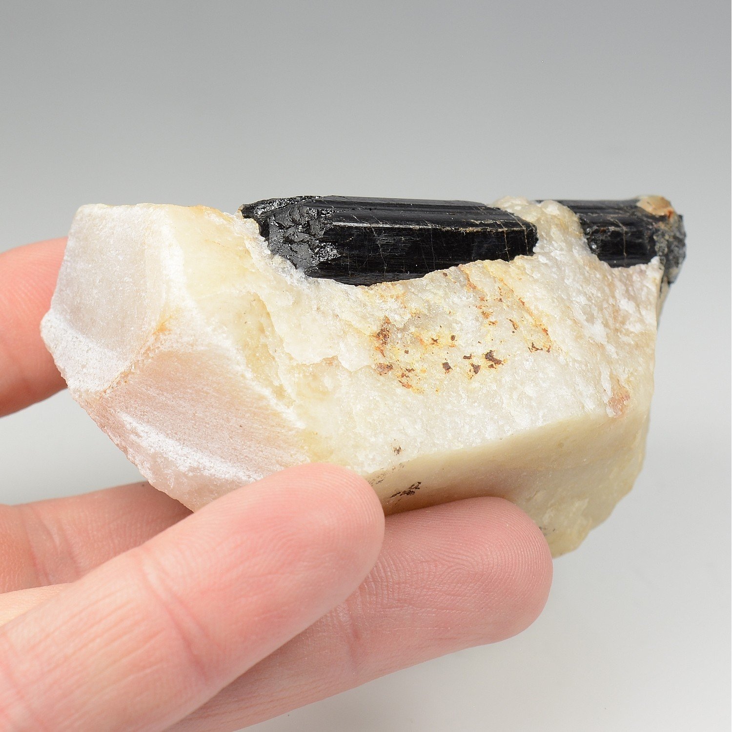 Tourmaline var. schorl dans quartz - Biauchaud, Puy-de-Dôme, France