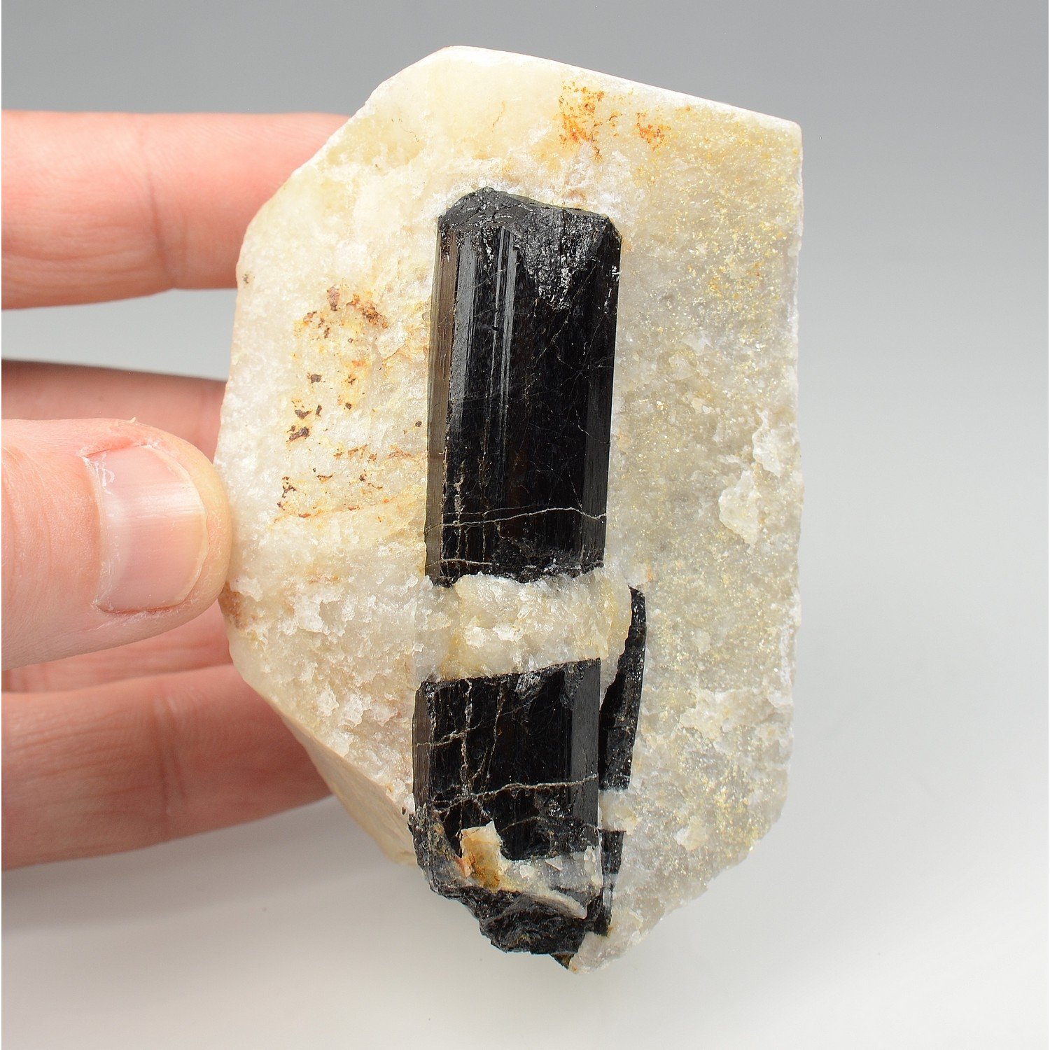 Tourmaline var. schorl dans quartz - Biauchaud, Puy-de-Dôme, France