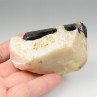 Tourmaline var. schorl dans quartz - Biauchaud, Puy-de-Dôme, France