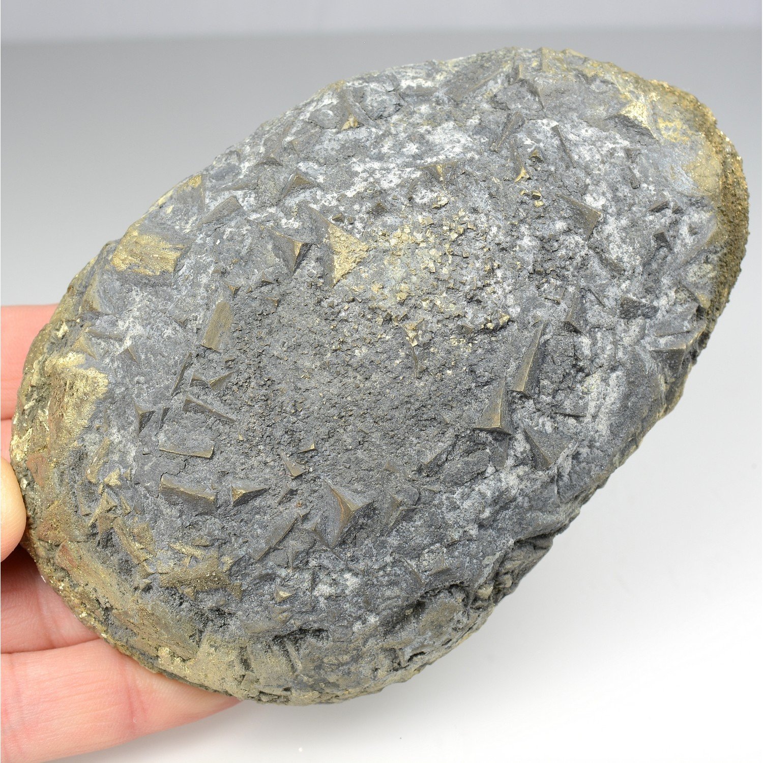 Pyrite - Saint-Denis-d'Orques, Sarthe, France