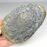 Pyrite - Saint-Denis-d'Orques, Sarthe, France