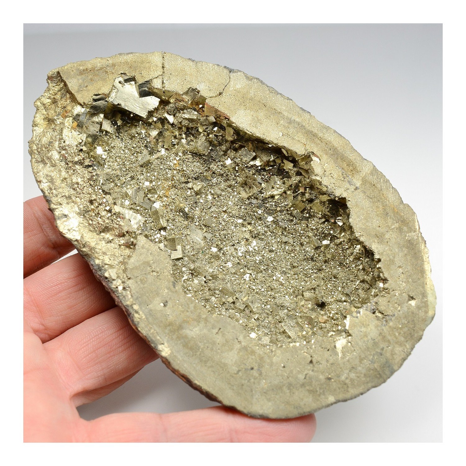 Pyrite - Saint-Denis-d'Orques, Sarthe, France