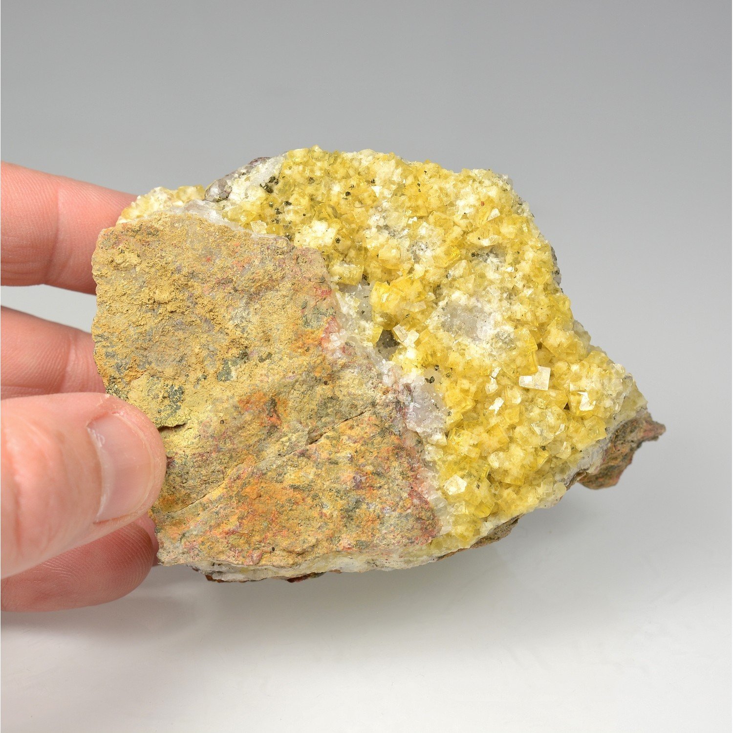 Fluorine - Le Pertre, Île-et-Vilaine, France