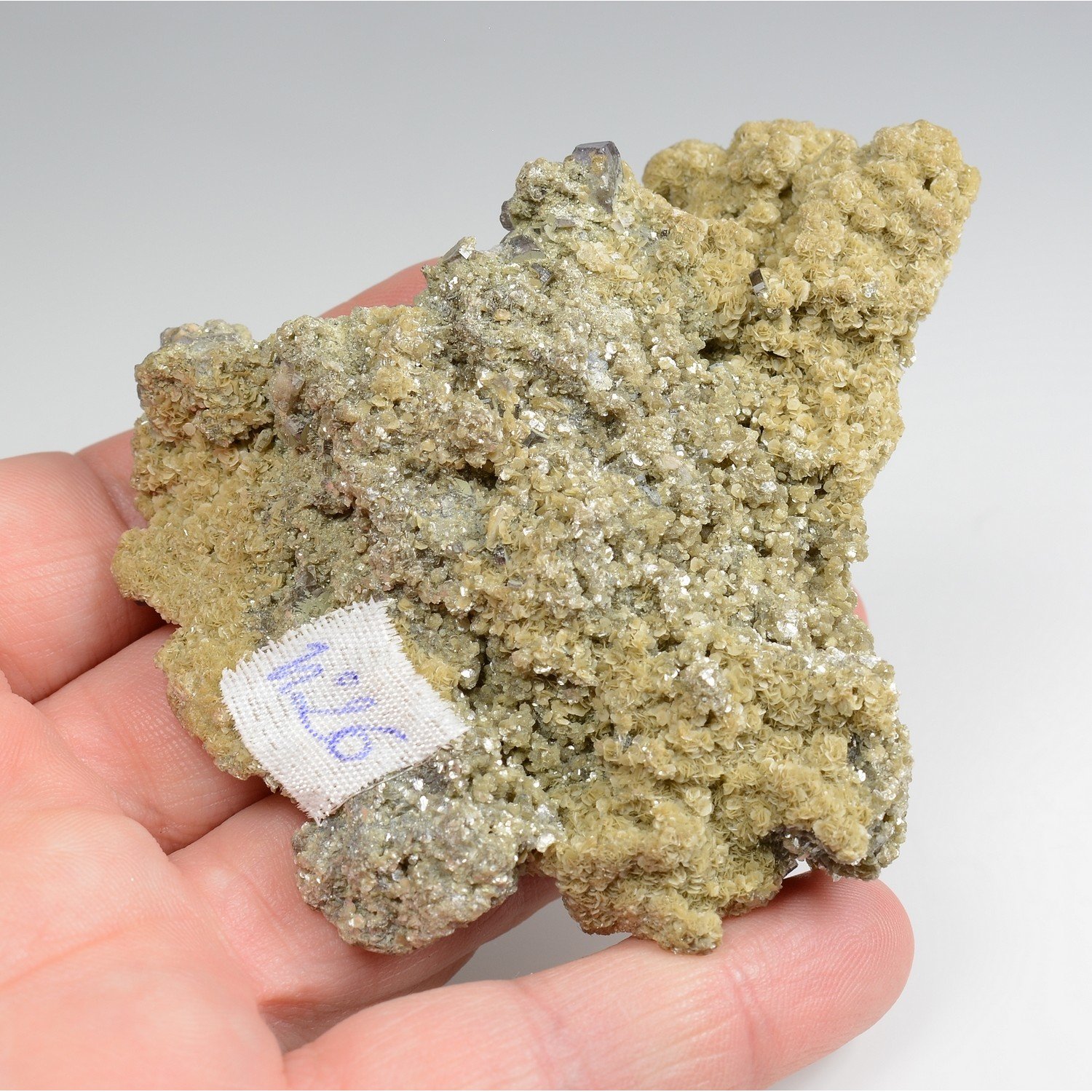 Apatite and zinnwaldite - Panasqueira Mines, Covilha, Portugal
