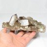 Quartz fumé et adulaire - Massif du Mont-Blanc, Haute-Savoie, France