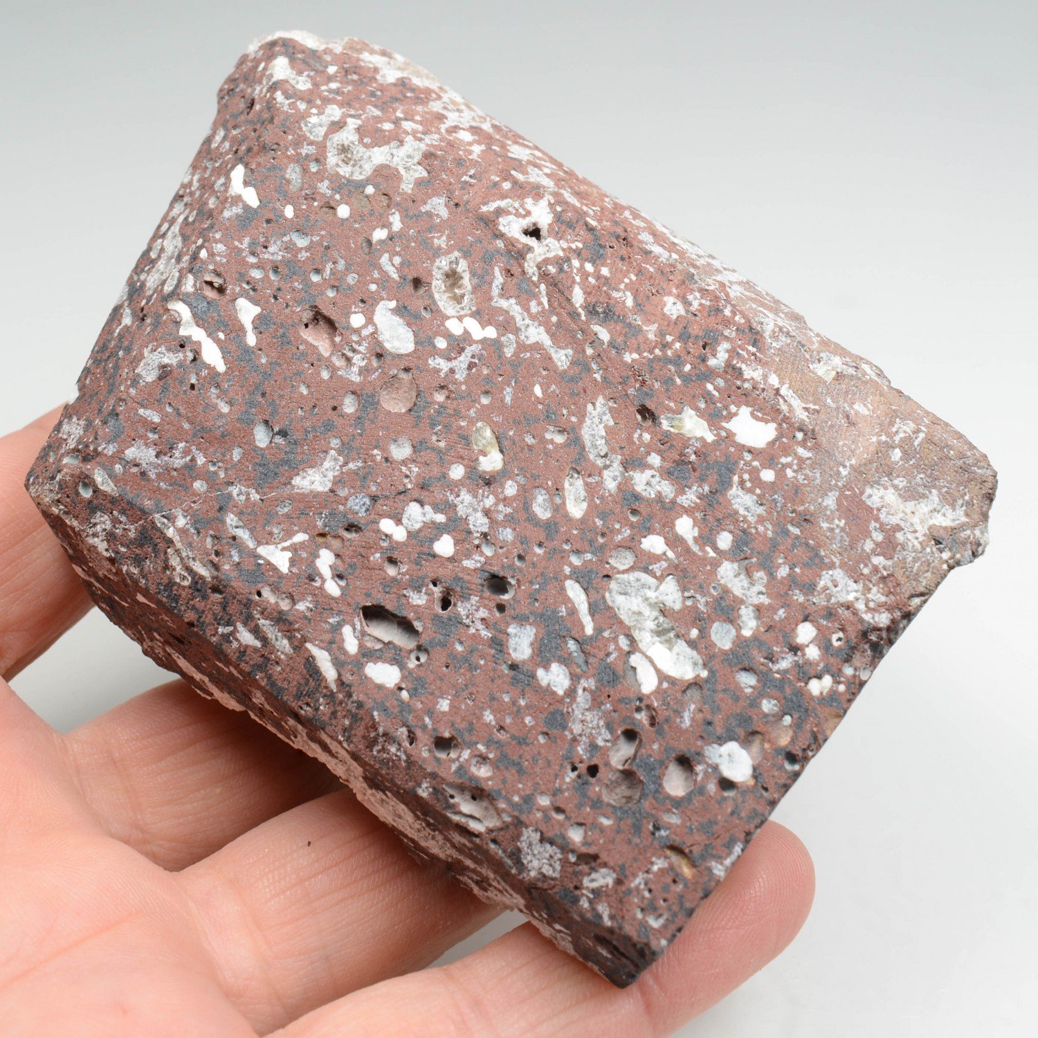 Cavansite sur stilbite - Carrières de Wagholi, district de Poona, Maharashtra, Inde