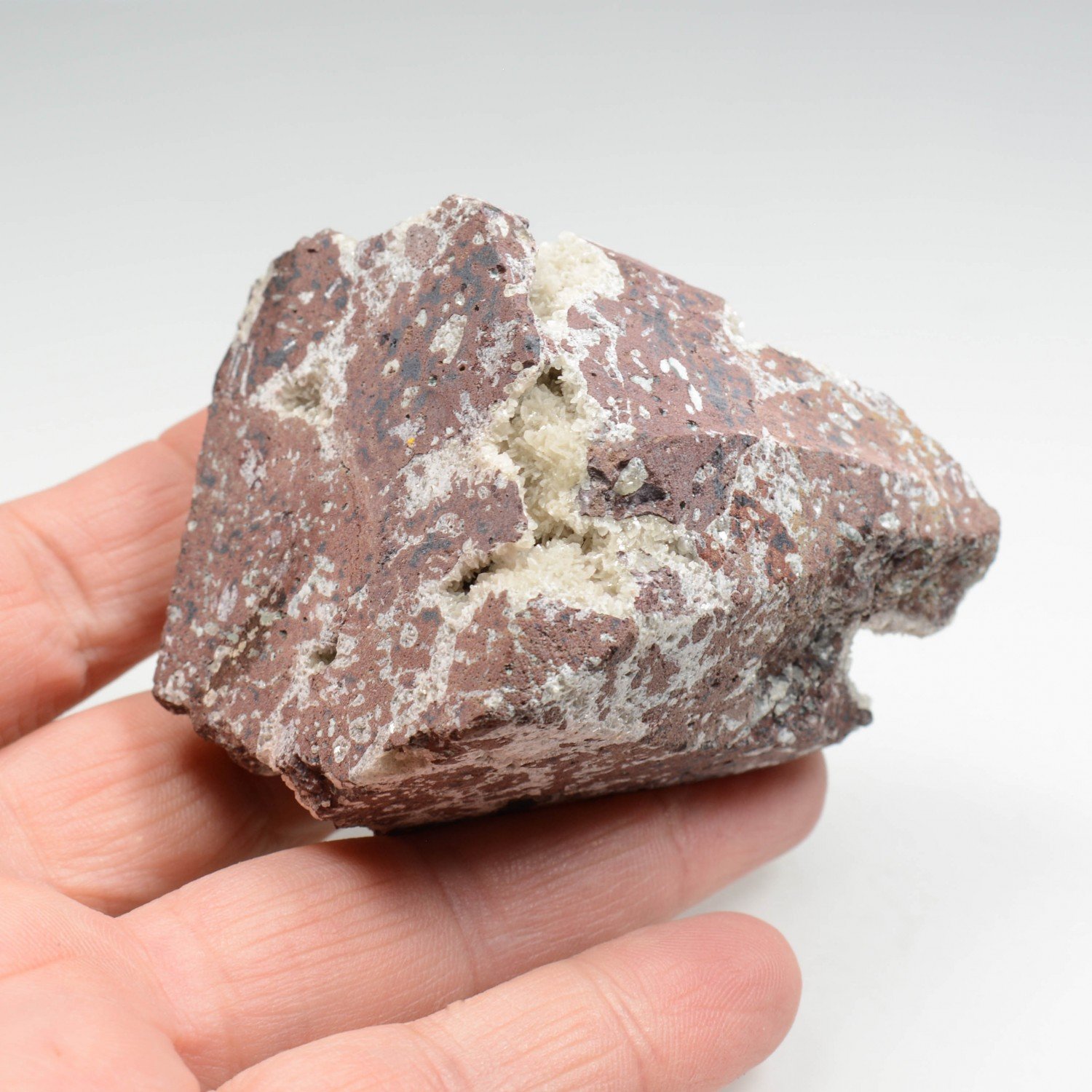 Cavansite sur stilbite - Carrières de Wagholi, district de Poona, Maharashtra, Inde