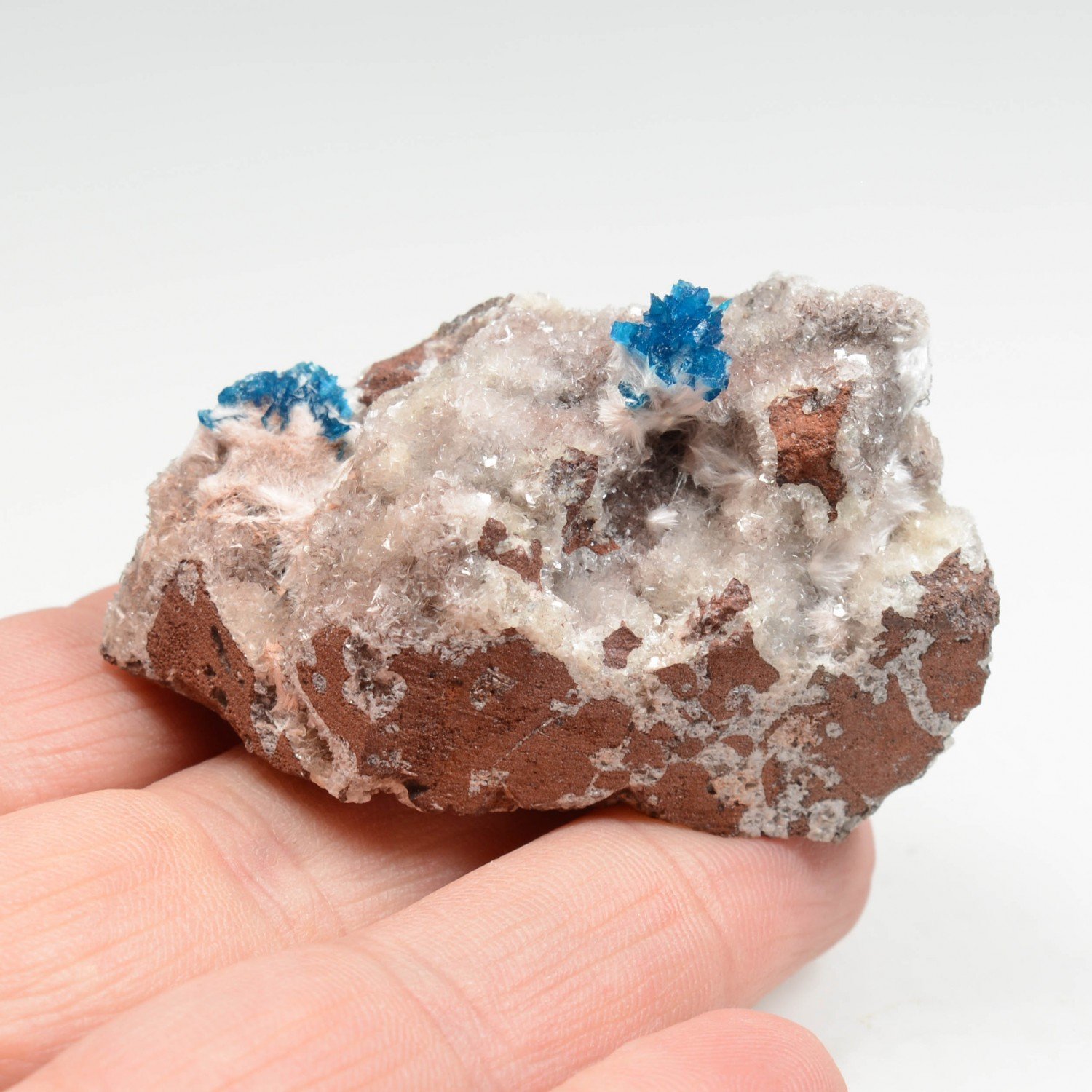 Cavansite on stilbite - Wagholi Quarries, Poona District, Maharashtra, India