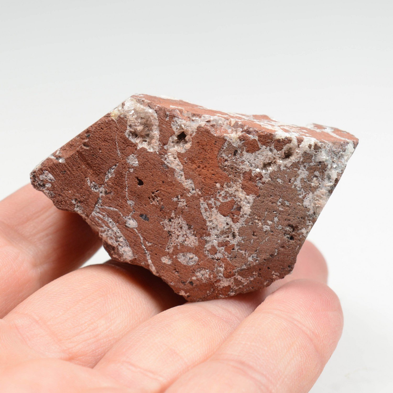 Cavansite on stilbite - Wagholi Quarries, Poona District, Maharashtra, India