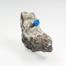 Cavansite on stilbite - Wagholi Quarries, Poona District, Maharashtra, India