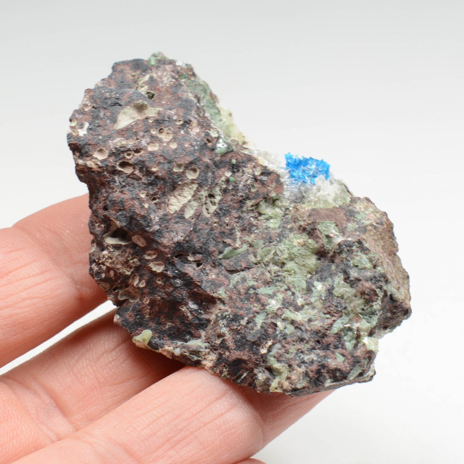 Cavansite on stilbite - Wagholi Quarries, Poona District, Maharashtra, India