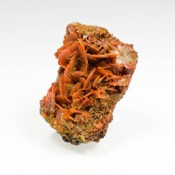 Wulfénite - Mine Jianshan, Région du Xinjiang, Chine