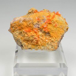 Wulfénite et mimétite - Mine Rawley, Arizona, Etats-Unis