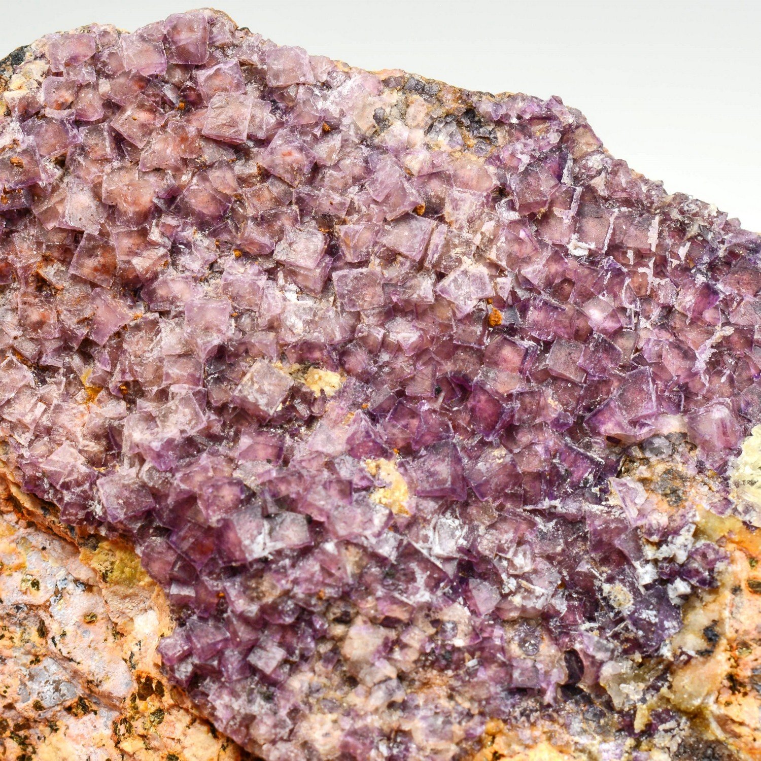 Fluorite - Prézin, Saint-Prix, Saône-et-Loire, France