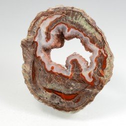 Lithophyse - Esterel, Var, France