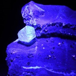 Septaria à quartz - Col du Fau, Isère, France