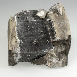 Septaria à quartz - Col du Fau, Isère, France