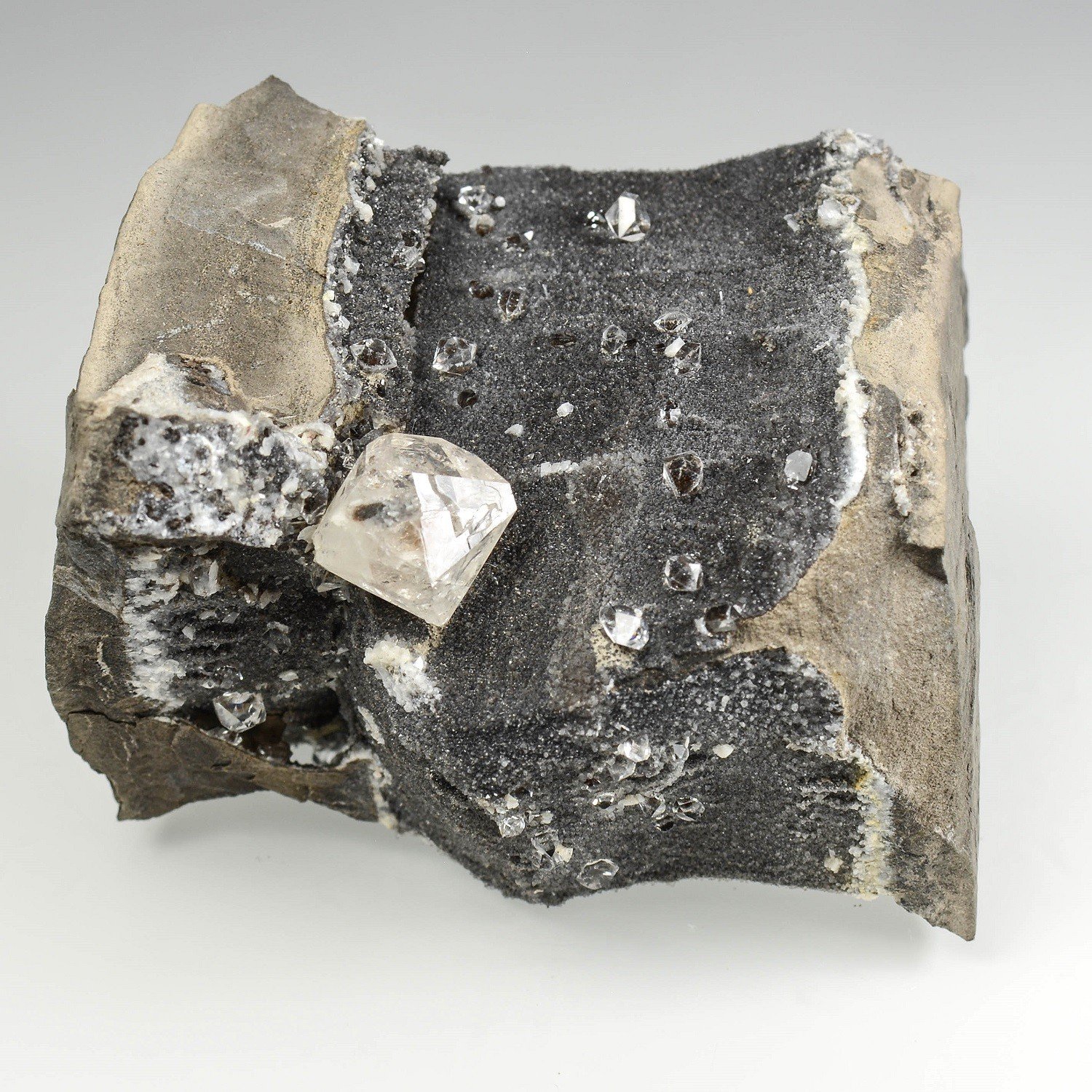 Quartz septaria - Col du Fau, Isère, France