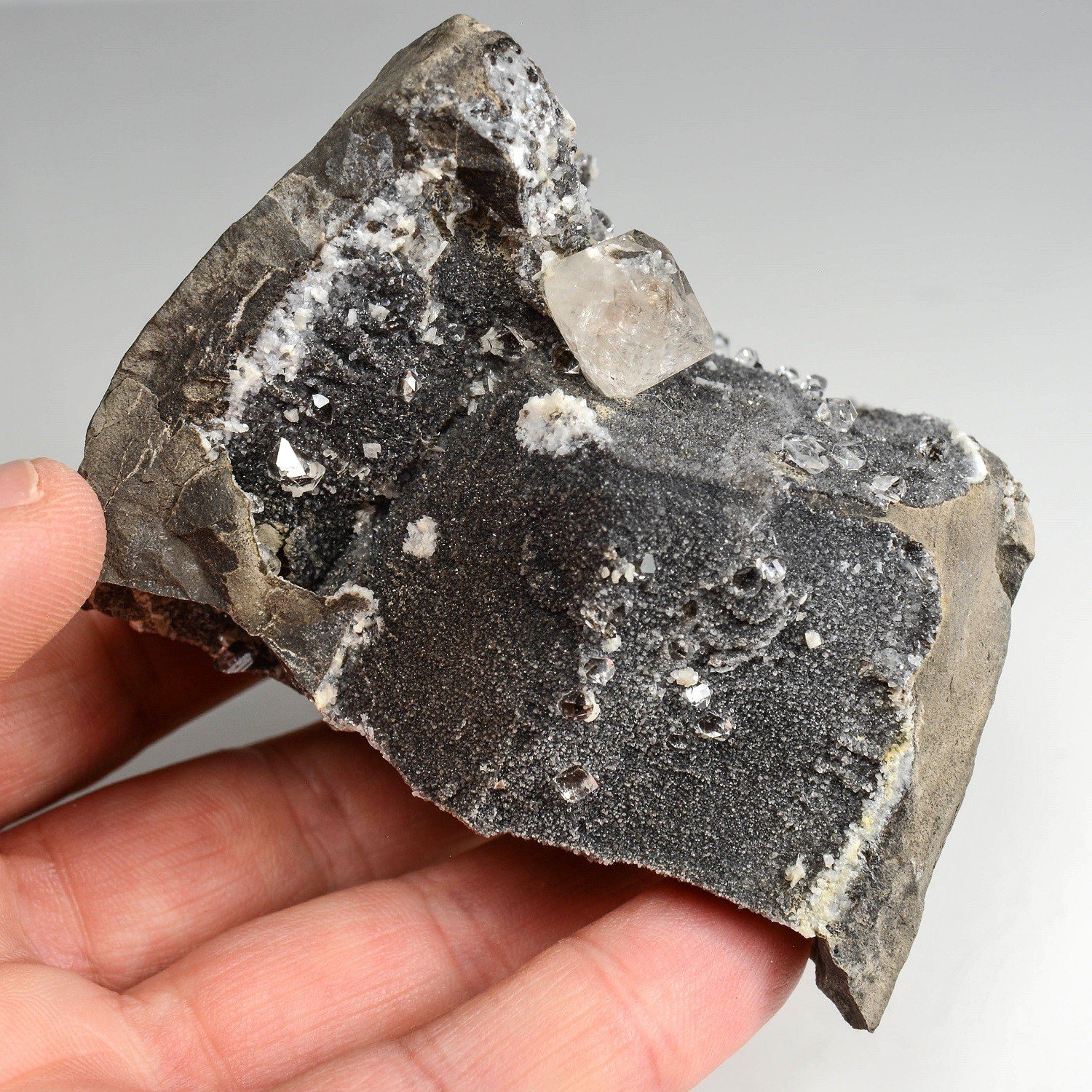 Quartz septaria - Col du Fau, Isère, France
