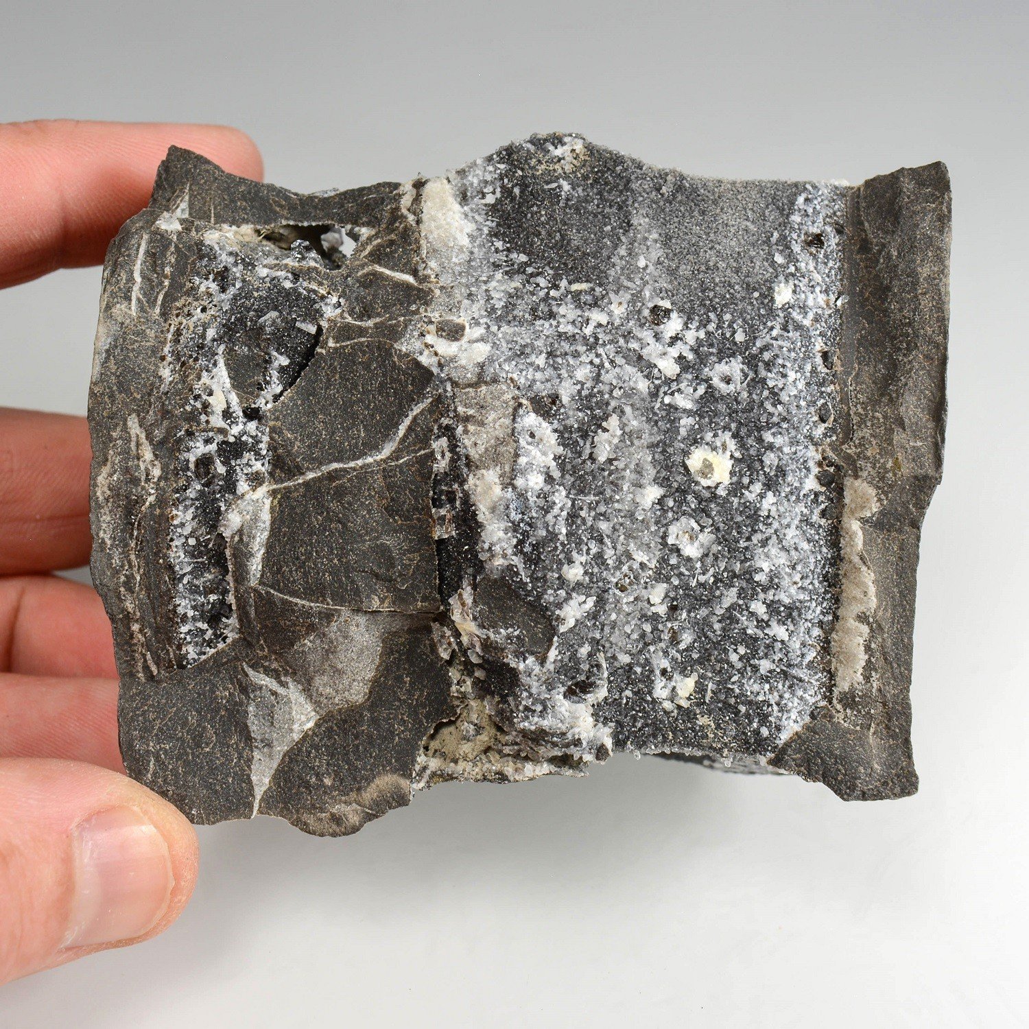 Quartz septaria - Col du Fau, Isère, France