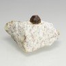 Garnet - Caladroy, Bélesta, Pyrénées-Orientales, France