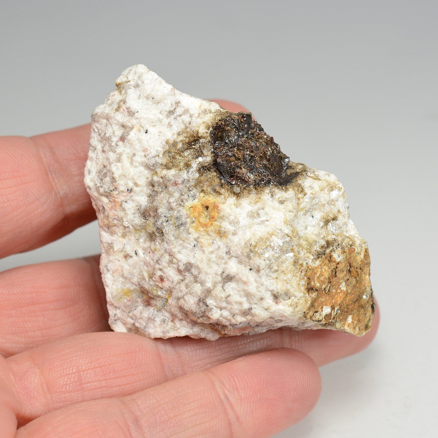 Garnet - Caladroy, Bélesta, Pyrénées-Orientales, France