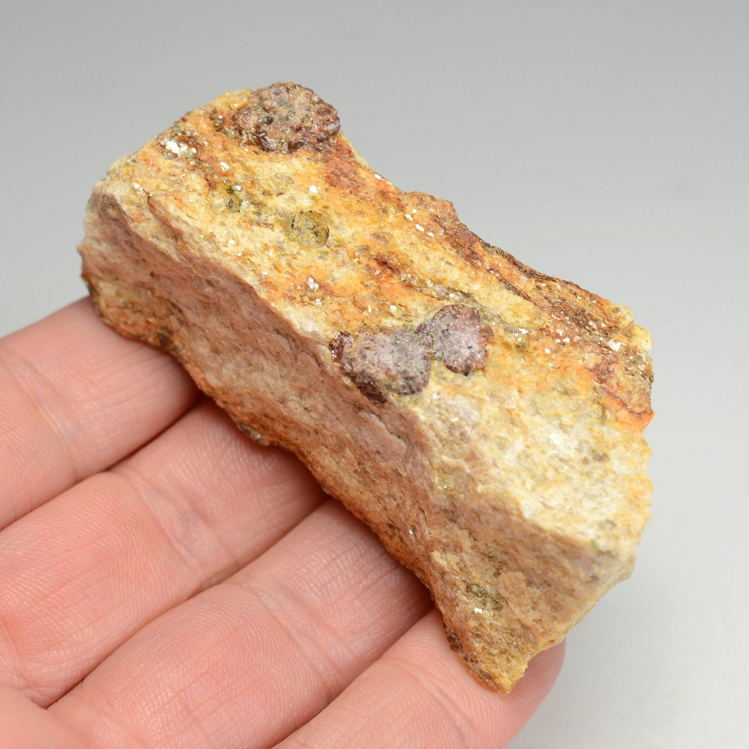 Garnet in aplite - La Corderie, Péaule, Morbihan, France