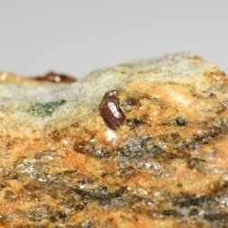 Garnet in aplite - La Corderie, Péaule, Morbihan, France