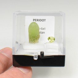 PERIDOT - cut stone and rough stone