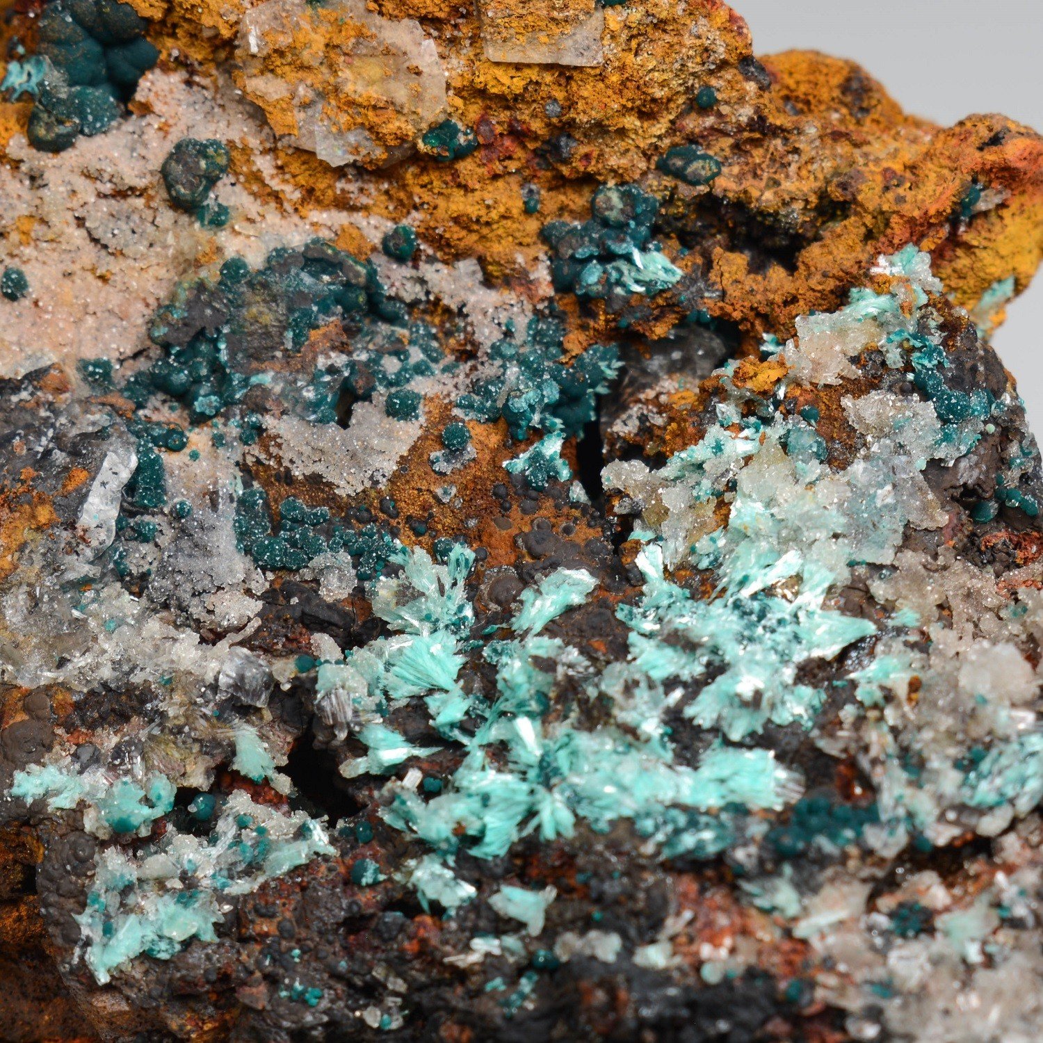 Aurichalcite and rosasite on limonite - Ojuela Mine, Mapimi, Durango, Mexico