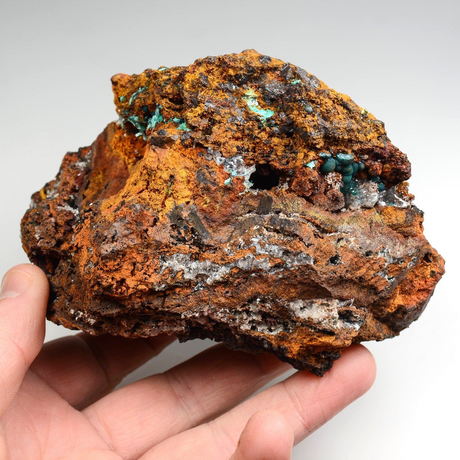 Aurichalcite and rosasite on limonite - Ojuela Mine, Mapimi, Durango, Mexico